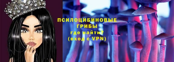 mix Бородино