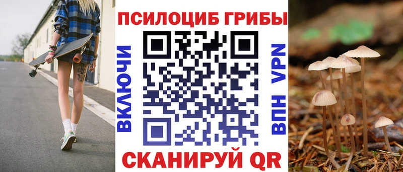 Купить где  Муравленко  Псилоцибиновые грибы Psilocybe 